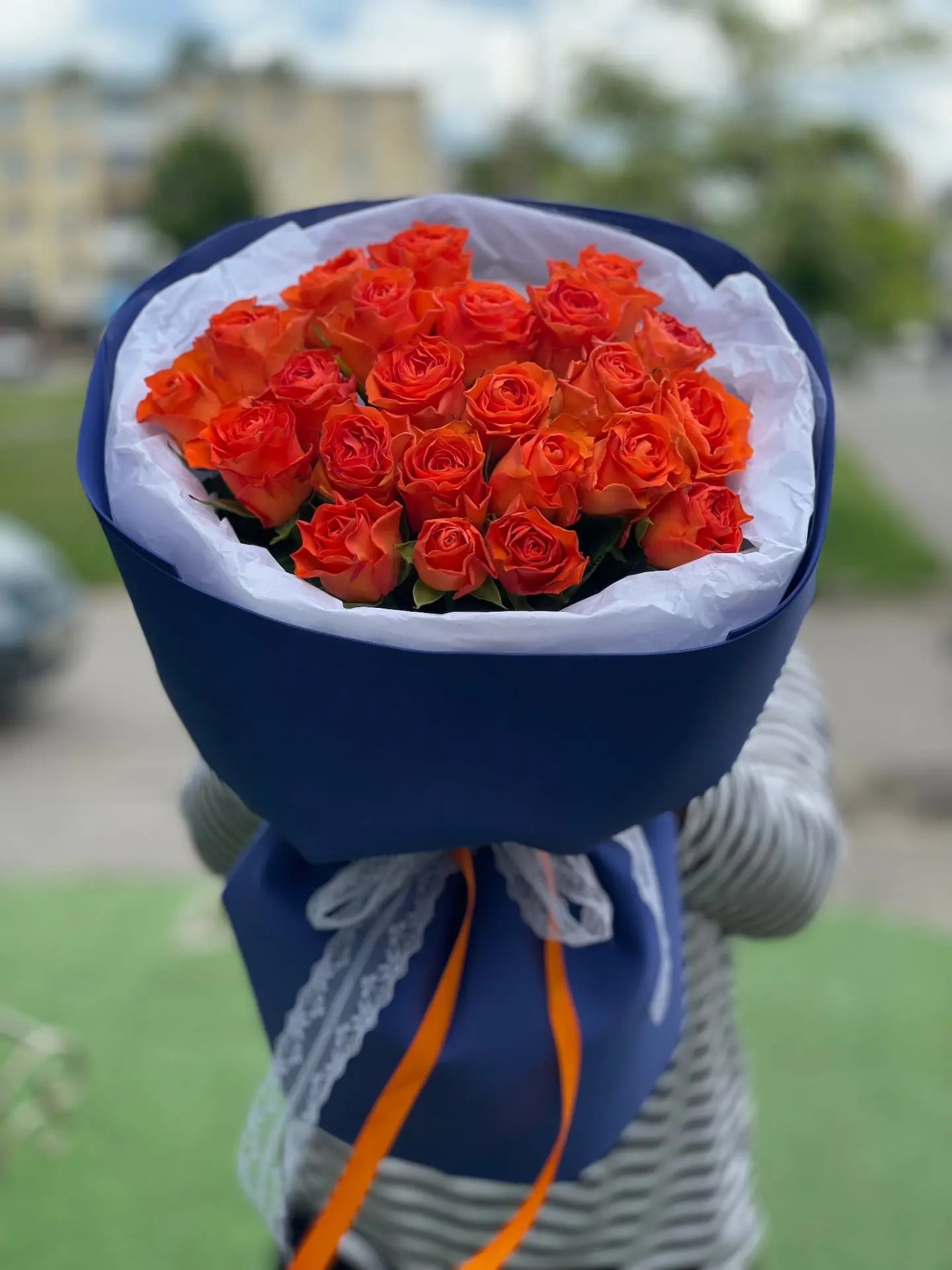 Оранжевые розы
