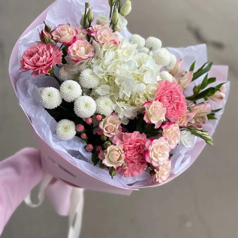 Гортензия